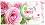   Nature of Agiva - 15 ,   Roses -  