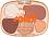 Essence Club Soleil Eyeshadow Palette - ������� � 5 ����� ����� �� ��� �� ������� Club Soleil - �������