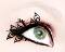 Paperself Peacock Eyelashes -   - 