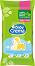     Baby Crema - 24 ,        -  