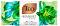 Teo Bouquet Exotic - �������� ����� � ������ �� ����� �� ������� Teo Bouquet - �����