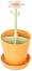    Vigar -   Florganic - 
