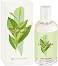 Yves Rocher Eau Fraiche Green Tea EDT -     Eau Fraiche - 