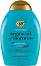 OGX Renewing Argan Oil of Morocco Shampoo -      - 