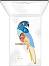 PUPA Milano Parrot Eyeshadow Palette 003 Rio -   7     - 