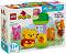 LEGO Duplo - ����� �� ������ ��� �� ���� ��� - ������ ����������� - �������
