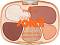 Essence Club Soleil Eyeshadow Palette - ������� � 5 ����� ����� �� ��� �� ������� Club Soleil - �������