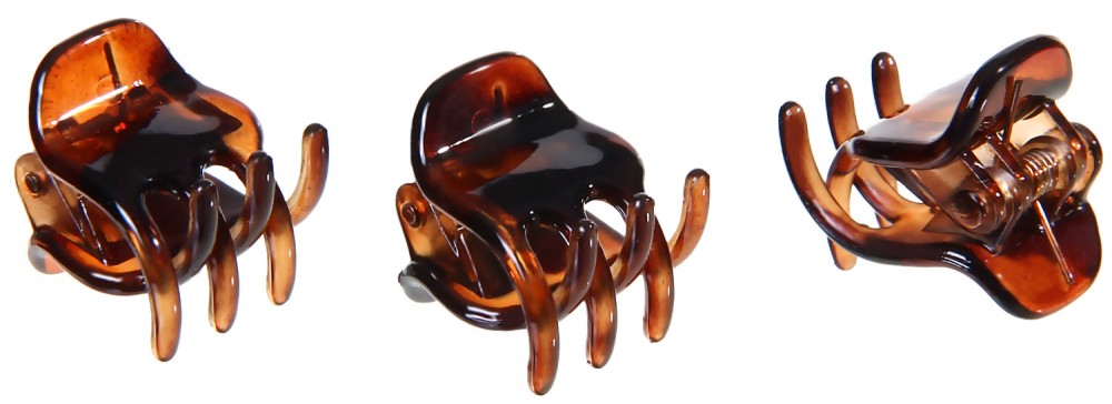 ���� ����� �� ���� - �������� �� 3 ���� - �������