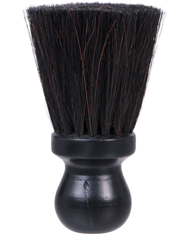 ������ ����� �� ���� - � ����� ��������� ����� - �����