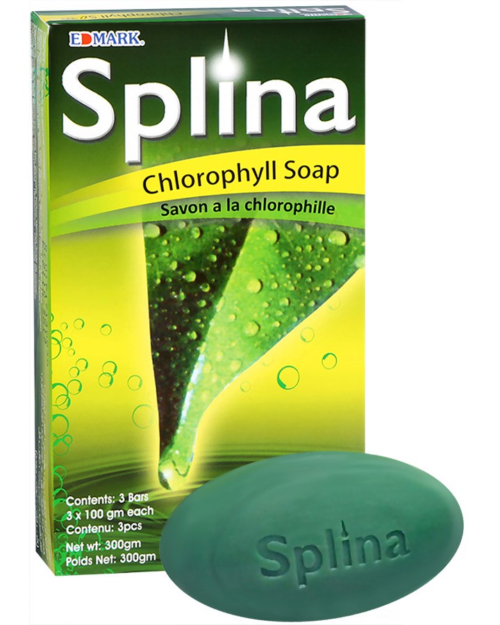 ���������� ����� - Splina - �������� �� 3 ���� - �������