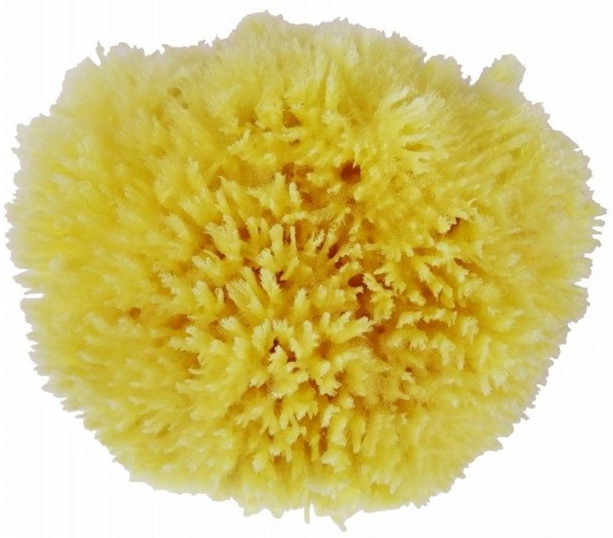 ���������� ������ ���� �� ���� - ���� �� ����