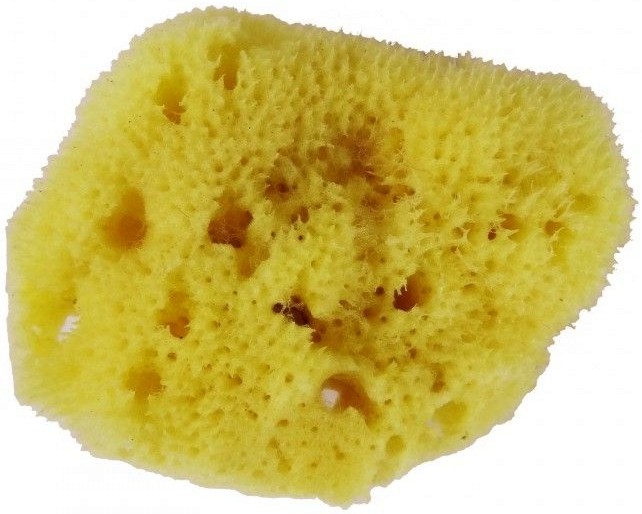 ��������� ���� �� ���������� �� ���� - �������