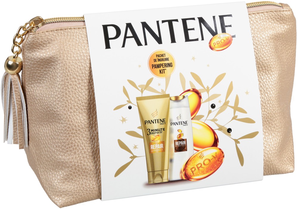 Pantene Repair & Protect -       - 