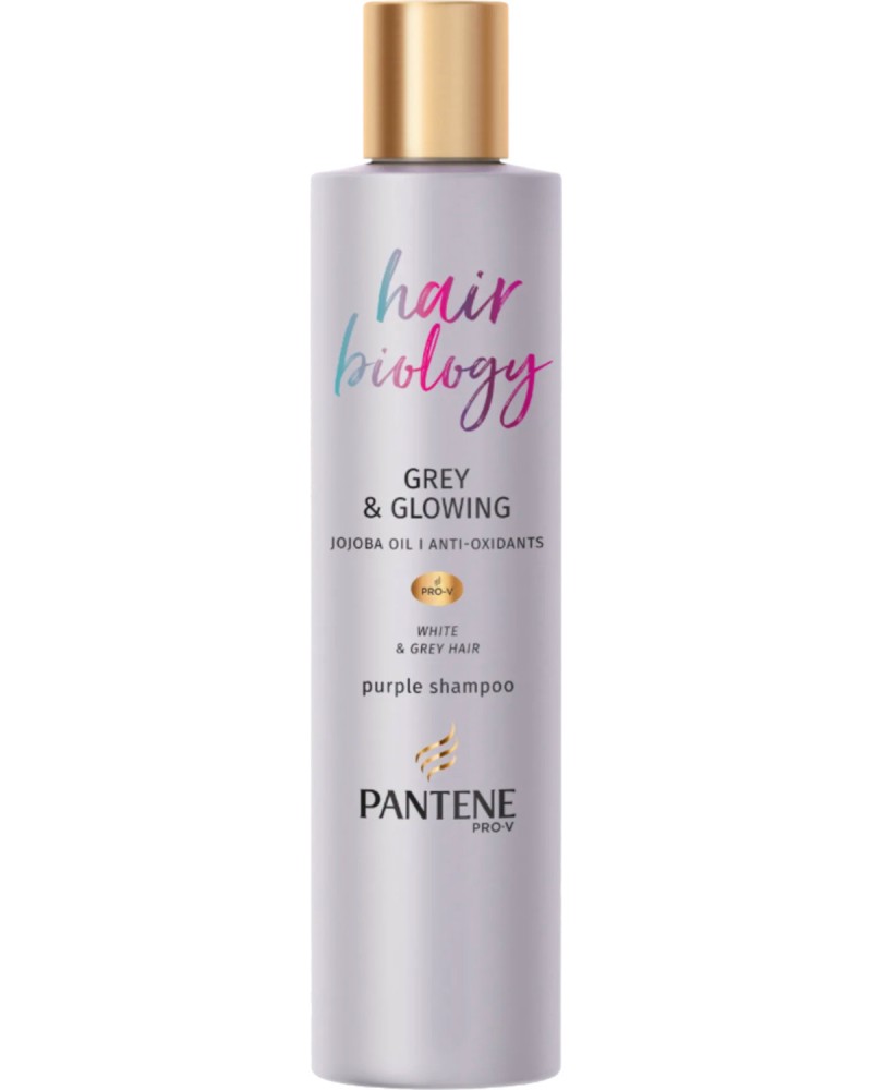 Pantene Hair Biology Grey & Glowing Shampoo -       Hair Biology - 