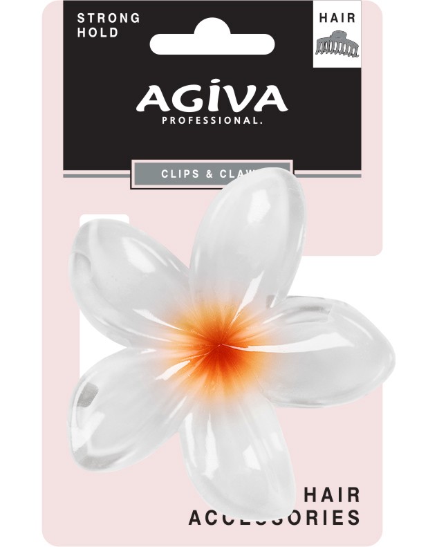����� �� ���� Agiva - �� ������� Agiva Professional - �����