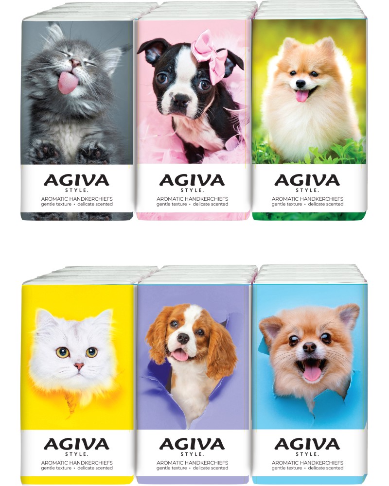   Agiva Style - 6  x 10    Style - 