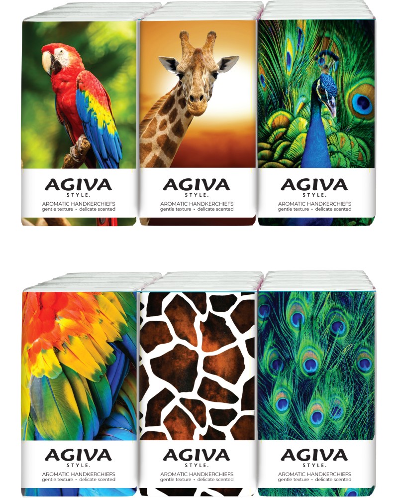   Agiva Style - 6  x 10    Style - 