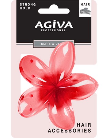 ����� �� ���� Agiva - �� ������� Agiva Professional - �����