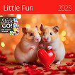   - Little Fun 2025 - 