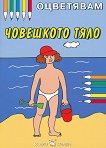 ���������: ��������� ���� - 