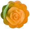   Bulgarian Rose -   Rose Fantasy - 