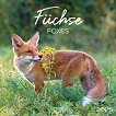   - Foxes 2025 - 