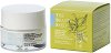 Bioearth The Beauty Seed Active Face Cream - 