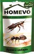 ��������� �������� ������ �������� � ������ Homevo