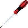  Torx   Ceta Form