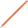   Caran d'Ache Pablo