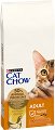 ���� ����� �� ����� Cat Chow Adult - 