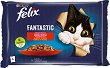 ������� �� ����� Felix Fantastic - 