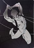 �������� � ������ ������ Spider-man - 