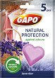    Gapo
