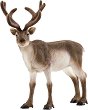     Schleich - 