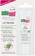 Sebamed Lip Repair - ������������� ������ �� �������� ����� - ������