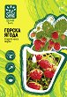 ������ �� ������ ����� - Fragaria vesca Regina