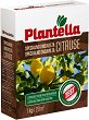 ���������� ��� �� ������� Plantella