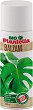 ������ �� ����� Plantella