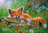 ����� ������ - 