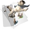 ������� HoloToyz Pet Party