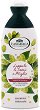 LAngelica Officinalis Fortifying Shampoo -       - 