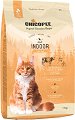      CHICOPEE Adult Indoor - 