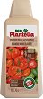 ��������� ��� �� ������ Plantella