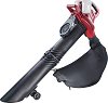    20V Raider RDP-SEBV20 Solo