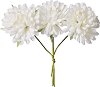   KPC - 