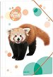 ����� � ������ Ars Una Red Panda
