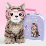 ������� ���� ����� - Studio Pets - 