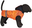 ��� �� ������ HAPPY PUPPY - 