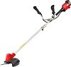 ������������ ������ 20V Raider RDP-BBC20